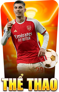 Thể Thao New88